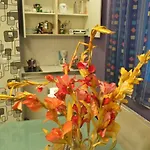 Διαμέρισμα Sejko *