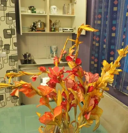 Apartamento Sejko *